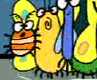 Source frame